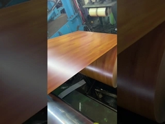 PPGI a galvanisé la bobine en acier